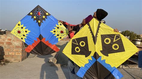 Kite Flying On Basant Panchami Mela Youtube