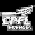 Companhia Piratininga De Forca E Luz
