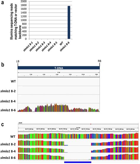 Illumina Rna Sequencing