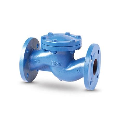 Din Ductile Cast Iron Ggg Double Flanged Pn Ci Di Swing Check Valve