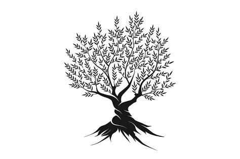 Olive Tree Vector