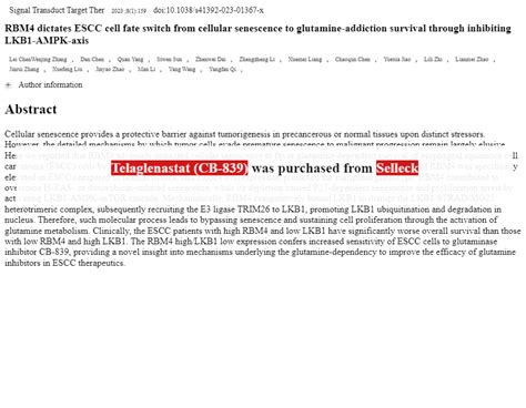 Glutaminase Inhibition Glutaminase Inhibitor Review