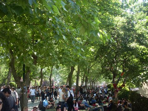 File:2013 Taksim Gezi Park protests,People at Taksim Gezi Park on 3rd Jun 2013.JPG - Wikimedia ...