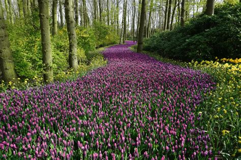 Staudenbeet And Staudengarten Planen Anlegen And Gestalten 25 Ideen