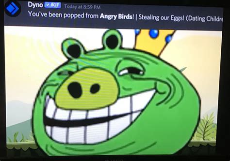 Who has got popped from Angry Birds for Stealing our eggs? : r/angrybirds