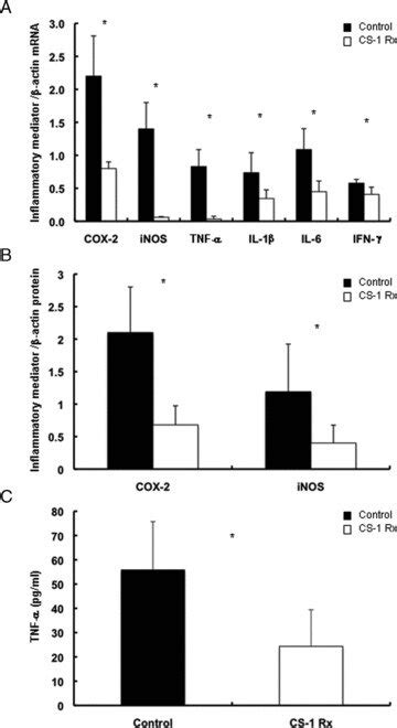 Cox 2 Inos And Proinflammatory Cytokine Expression In Cold Liver Iri