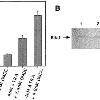 Induction Of P Mrna Expression A And Mapk Activity B In Nb Cells