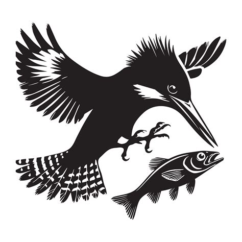 Belted Kingfisher silhouette - Megaceryle Alcyon Clipart - Belted