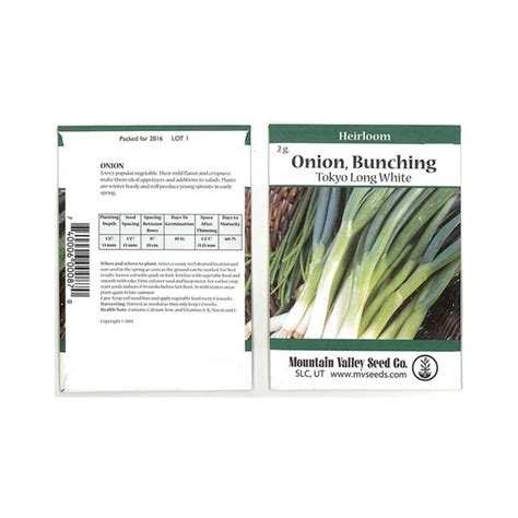 Tokyo Long White Bunching Onion Garden Seeds 2 Gram Packet Non Gmo