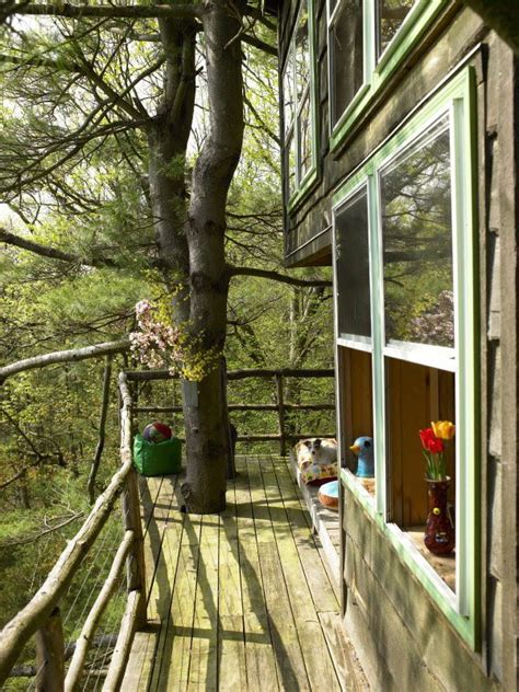 CABINOLOGY Tree House House In The Woods House