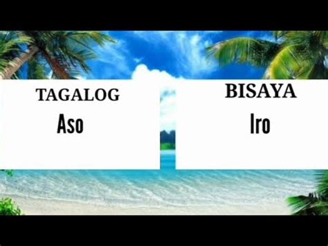 Mga Salita Tagalog To Bisaya Translate Part 2 YouTube