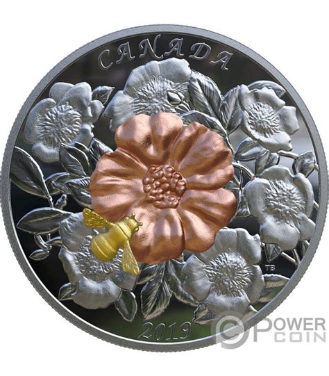 BUMBLE BEE AND BLOOM Biene 5 Oz Silber Münze 50 Canada 2019