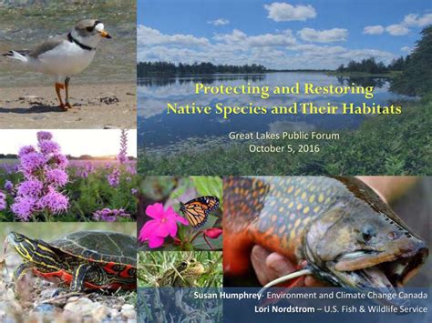 [PPT] - Protecting and Restoring Native Species and Their Habitats Great PowerPoint Presentation ...