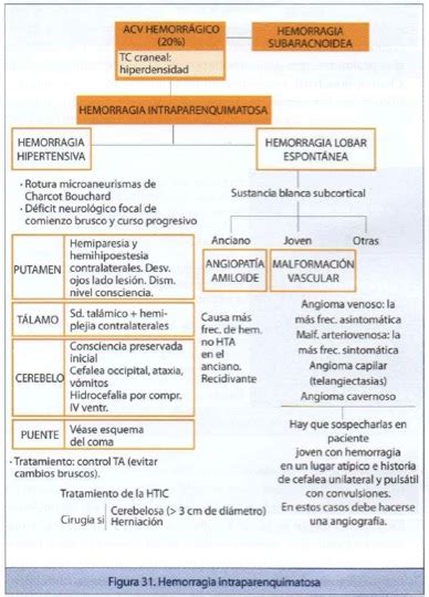 Hemorragia Cerebral Intraparenquimatosa Radiodiagnosticando