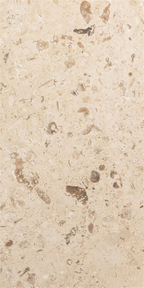 Shellstone Brushed Limestone Tile Kitchen Bathroom Tiles