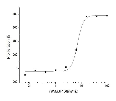 Recombinant Rat Vegf A Protein Rnab Sino Biological