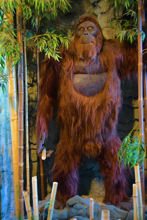 Gigantopithecus Photograph By Nancy Jenkins Fine Art America