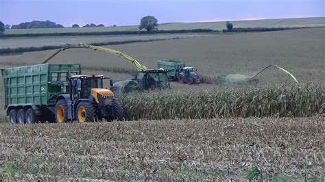 Maize Harvest 2022 With TWO John Deere Foragers JCB Fastracs Fendt