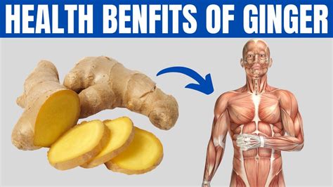 10 Top Amazing Health Benefits Of Ginger Youtube