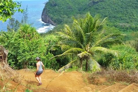 POLOLU VALLEY: Hike to Pololu Valley beach OR just see the lookout? 🌴 Big Island Hawaii travel ...