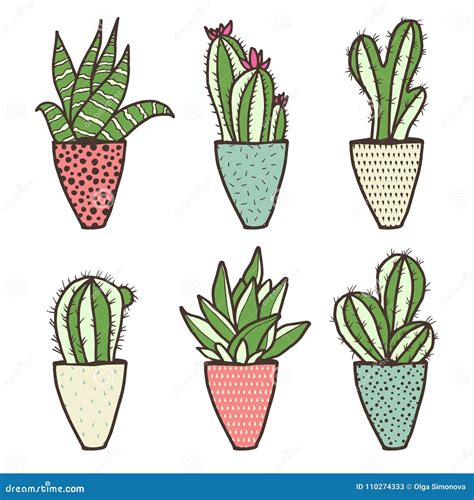 Set of Different Kinds of Cactuses Stock Illustration - Illustration of