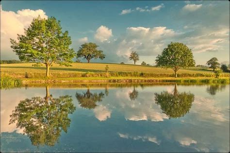 Marvelous Nature Reflection Photography - XciteFun.net