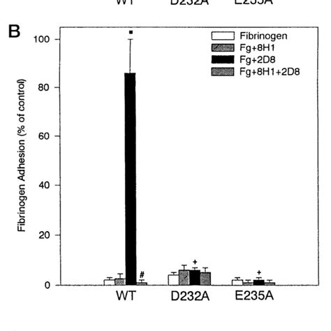 Adhesion Of CHO Cells Stably Transfected With Wildtype Or Mutant M 2 To