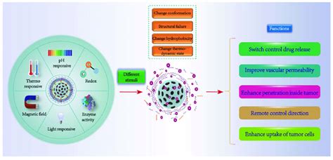 Schematic Diagram Of Targeted Drug Delivery By Nps Under Different Stimuli Download