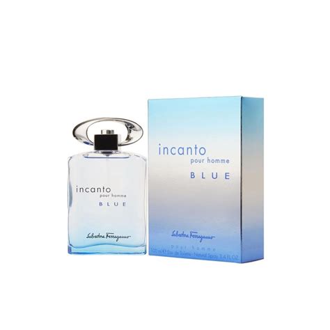 Salvatore Ferragamo Incanto Pour Homme Blue EDT 100ml M Shopee Malaysia