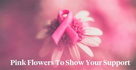 5 Pink Flowers That Support Breast Cancer Awareness Month Article On Thursd