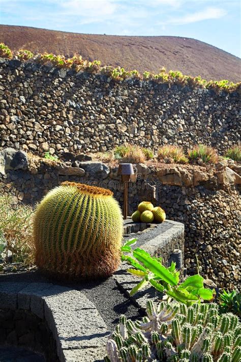 Cactus Garden Jardin De Cactus in Lanzarote Island Stock Image - Image ...