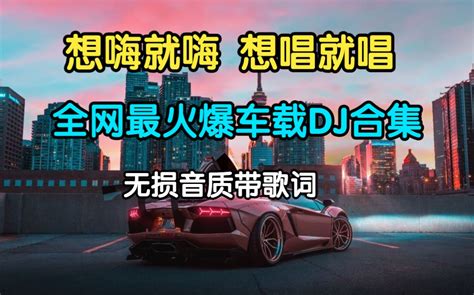 2023年最劲爆的dj歌曲 最火车载 DJ最火酒吧DJ歌曲 全中文DJ舞曲 夜店最劲爆DJ bili 71337457504 默认收藏夹