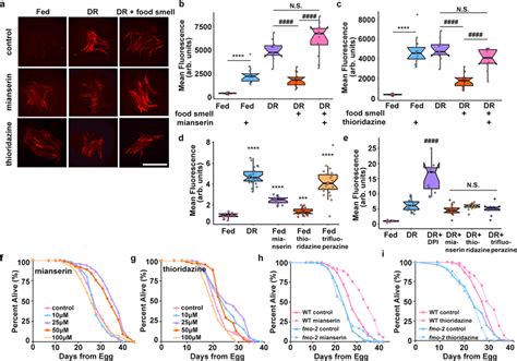 Serotonin And Dopamine Antagonists Induce Fmo 2 And Extend