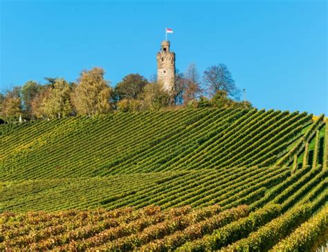 Gemeinsam Den Heuchelberg Retten B Rgerinitiative Pro Heuchelberg