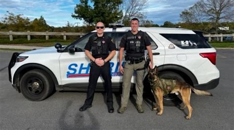 Oswego County TodayOswego Sheriff Deputies Wear Pink Badges To Support Breast Cancer Awareness