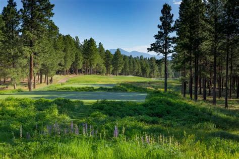 Forest Highlands Golf Club Meadow Courses GolfDigest