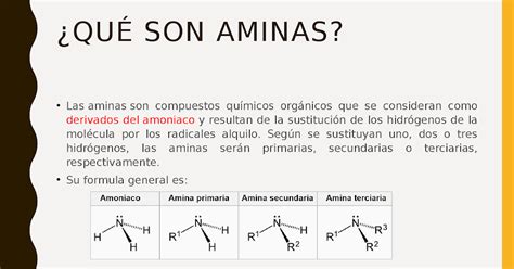 Conociendo La Quimica Organica Unidad