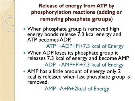 To Describe The Structure And Functions Of Atp