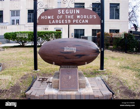 Worlds Largest Pecan In Seguin Texas Stock Photo Alamy