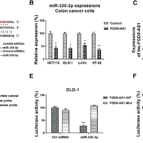 FGD5 AS1 Sponges MiR 330 3p To Form A CeRNA Network A Bioinformatics