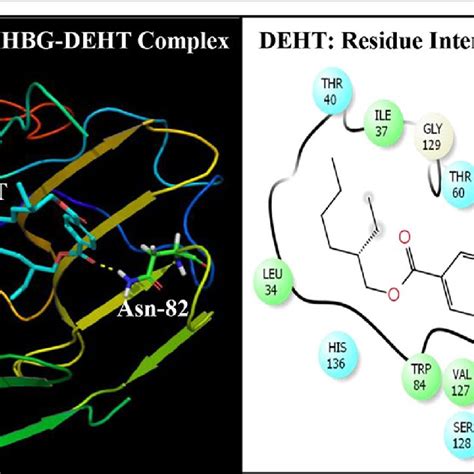 Ribbon Form Representation Of Docking Complex Of Sex Hormone Binding