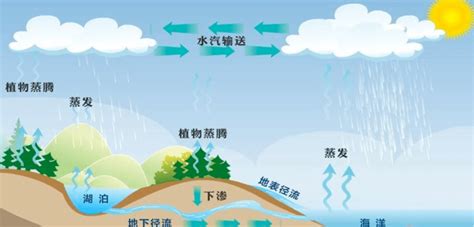 水知识科普丨小朋友必须要知道的关于水的五个秘密 搜狐大视野 搜狐新闻