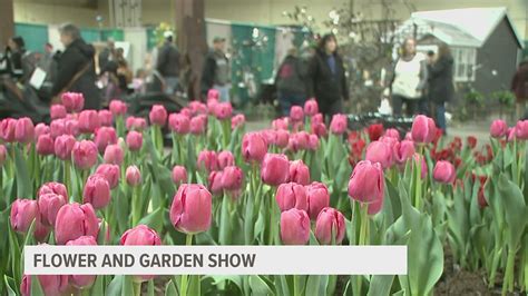 Quad Cities events this weekend March 24-26 | wqad.com