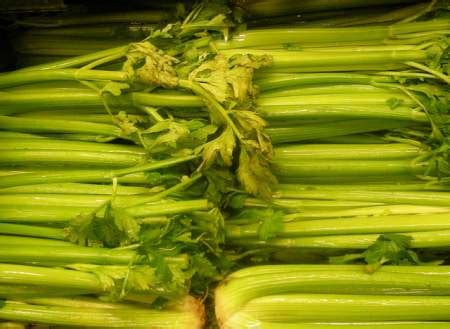 Celery Allergy Symptoms, Diagnosis - Allergy-symptoms.org