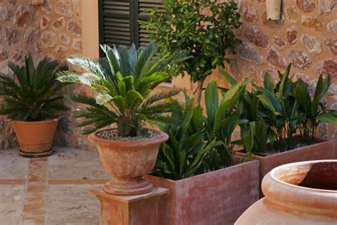 Mediterranean Garden Pots