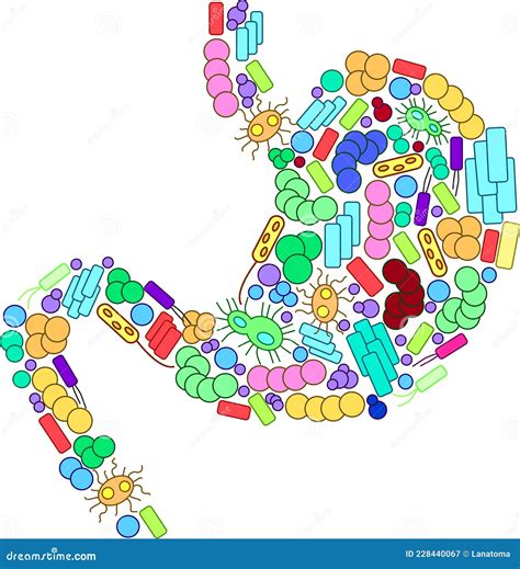 Stomach Shaped Out of Microorganisms Stock Vector - Illustration of research, treatment: 228440067