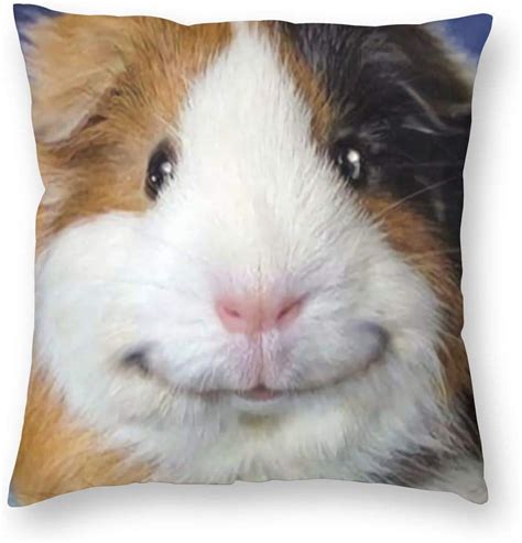 Lsjuee Smiling Guinea Pig Plush Square Throw Pillow Case Cushion Cover