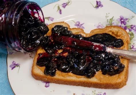 Easy Peasy Fuss Free Blueberry Jam — Ronnie Fein