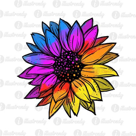 Sunflower Rainbow Sublimation Design Watercolor Sunflower Etsy