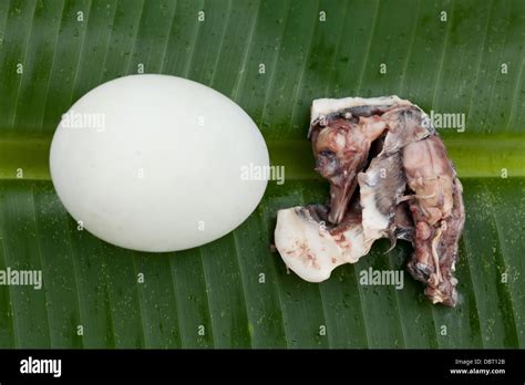 A Duck Embryo From A Shelled Balut Or Fertilized Duck Egg Is Pictured